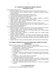 Įmonės vidaus auditas 12 puslapis