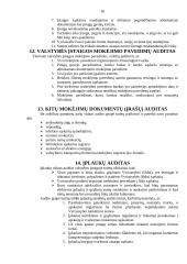 Įmonės vidaus auditas 16 puslapis