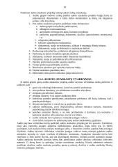 Įmonės vidaus auditas 18 puslapis