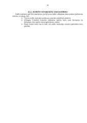 Įmonės vidaus auditas 19 puslapis