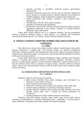 Įmonės vidaus auditas 5 puslapis