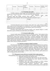 Įmonės vidaus auditas 8 puslapis