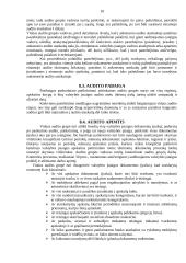 Įmonės vidaus auditas 10 puslapis