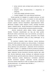 Įmonių ekonomika 11 puslapis