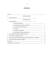 Įmonių finansavimo galimybės ir problemos Lietuvoje 2 puslapis