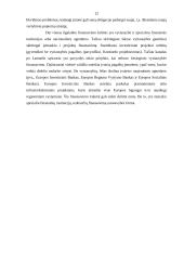 Įmonių finansavimo galimybės ir problemos Lietuvoje 12 puslapis