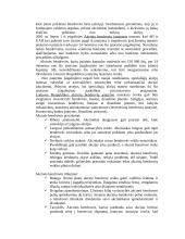 Skirtingų įmonių rūšys 11 puslapis