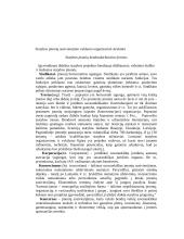 Skirtingų įmonių rūšys 13 puslapis