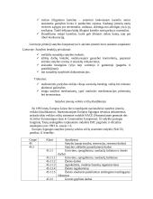 Skirtingų įmonių rūšys 16 puslapis