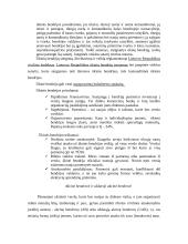 Skirtingų įmonių rūšys 7 puslapis
