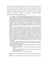 Skirtingų įmonių rūšys 10 puslapis