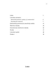 Inertinių dujų radionuklidų spinduliavimo ore, tiesioginės registracijos efektyvumo įvertinimas 2 puslapis