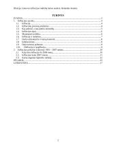 Lietuvos infliacijos rodiklių kaitos analizė 2 puslapis