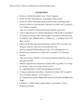 Lietuvos infliacijos rodiklių kaitos analizė 17 puslapis