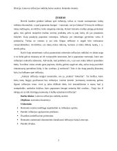 Lietuvos infliacijos rodiklių kaitos analizė 3 puslapis