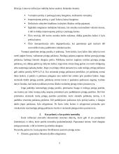 Lietuvos infliacijos rodiklių kaitos analizė 5 puslapis