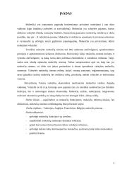 Mokesčių sistemos formavimas Vakarų šalyse 3 puslapis