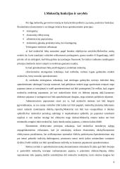 Mokesčių sistemos formavimas Vakarų šalyse 4 puslapis