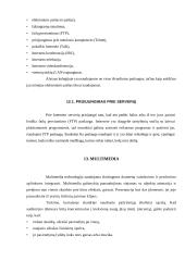 Informacinių sistemų analizė Alytaus kolegijos vadybos ir administravimo fakultete 11 puslapis