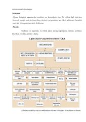 Informacinių sistemų analizė Alytaus kolegijos vadybos ir administravimo fakultete 7 puslapis