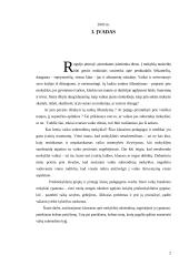 Mokyklinis brandumas 2 puslapis