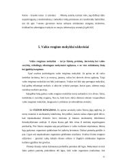 Mokyklinis brandumas 11 puslapis