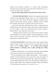 Mokyklinis brandumas 12 puslapis