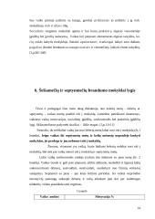 Mokyklinis brandumas 14 puslapis