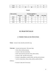 Mokyklinis brandumas 16 puslapis