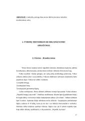 Mokyklinis brandumas 17 puslapis