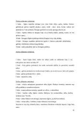 Mokyklinis brandumas 18 puslapis