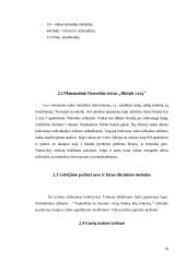 Mokyklinis brandumas 19 puslapis