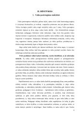 Mokyklinis brandumas 4 puslapis