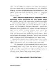 Mokyklinis brandumas 5 puslapis