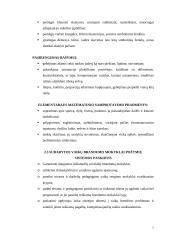 Mokyklinis brandumas 7 puslapis