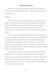 Informacinių sistemų panaudojimas verslo organizacijose 16 puslapis