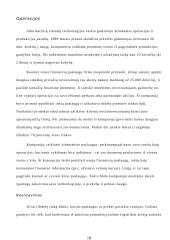 Informacinių sistemų panaudojimas verslo organizacijose 17 puslapis
