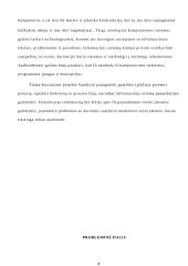 Informacinių sistemų panaudojimas verslo organizacijose 3 puslapis