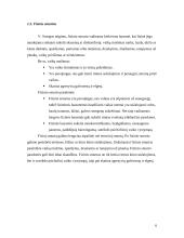 Mokyklos ir šeimos reikšmė smurto prieš vaikus prevencijoje 6 puslapis