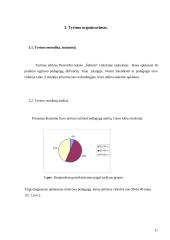 Informacinių technologijų taikymas pradinio ugdymo pedagogų veikloje 12 puslapis