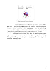 Informacinių technologijų taikymas pradinio ugdymo pedagogų veikloje 17 puslapis