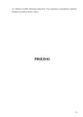 Informacinių technologijų taikymas pradinio ugdymo pedagogų veikloje 20 puslapis