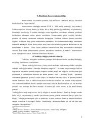 Neokonservatizmas ir konservatizmas 4 puslapis