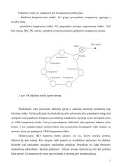 Informacinių technologijų taikymo galimybės ir perspektyvos kriminalinėje policijoje 5 puslapis