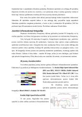 Infraraudonoji fotografija 5 puslapis