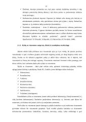 Pagrindinių skirtumų tarp reklamos ir kitų rėmimo veiksnių analizė 13 puslapis