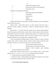 Pagrindinių skirtumų tarp reklamos ir kitų rėmimo veiksnių analizė 15 puslapis