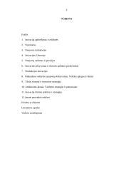 Inovacijų valdymas įmonėje 2 puslapis