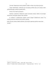 Inovacijų valdymas įmonėje 12 puslapis