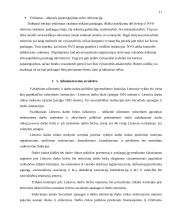 Institucinė sąveika administruojant darbo apsaugą 11 puslapis